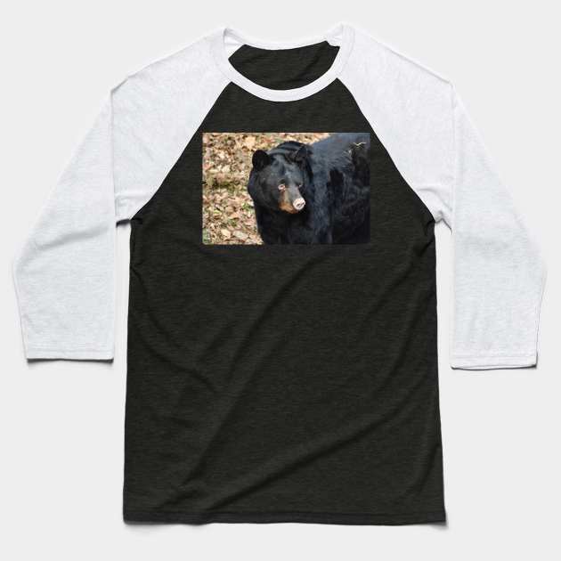 Bear Baseball T-Shirt by MarieDarcy